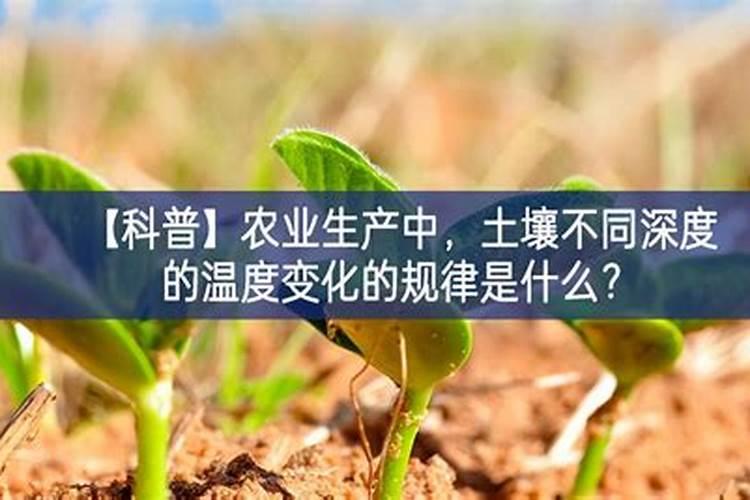 碧护叶面肥主要功效,冬天打叶面肥温度最低多少度