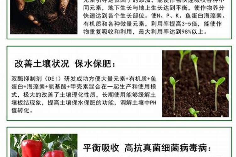 煮熟的黄豆怎么发酵做肥料