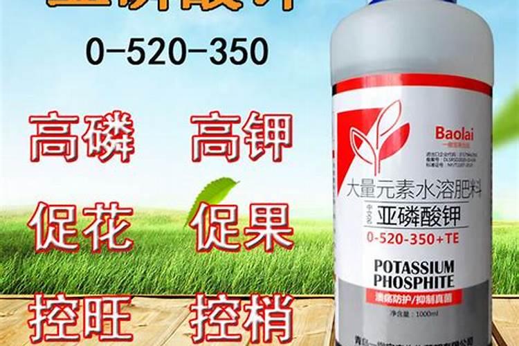 促进开花施什么肥料(果树促花用什么叶面肥好)