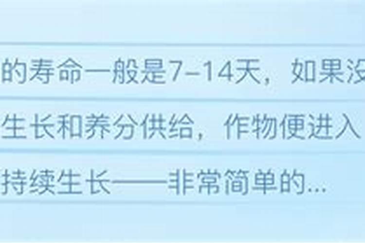 罗布泊水溶肥的主要作用是什么？