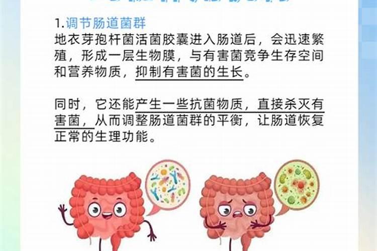 芽孢杆菌可以和培藻精华及磷肥混合用吗