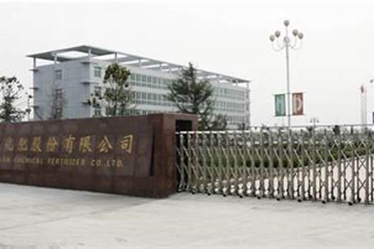 安徽中元化肥是六国化工吗