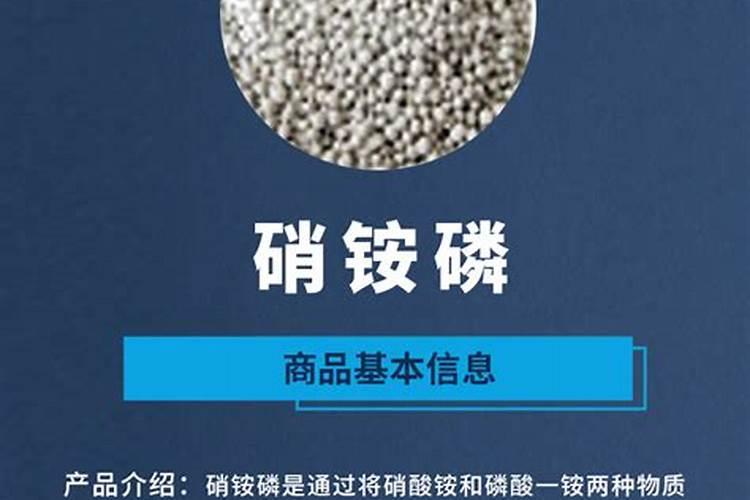硝酸铵钙和磷肥一起使用