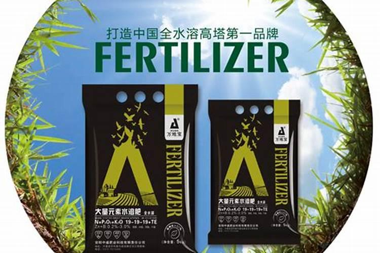 夏橙保果正确方法