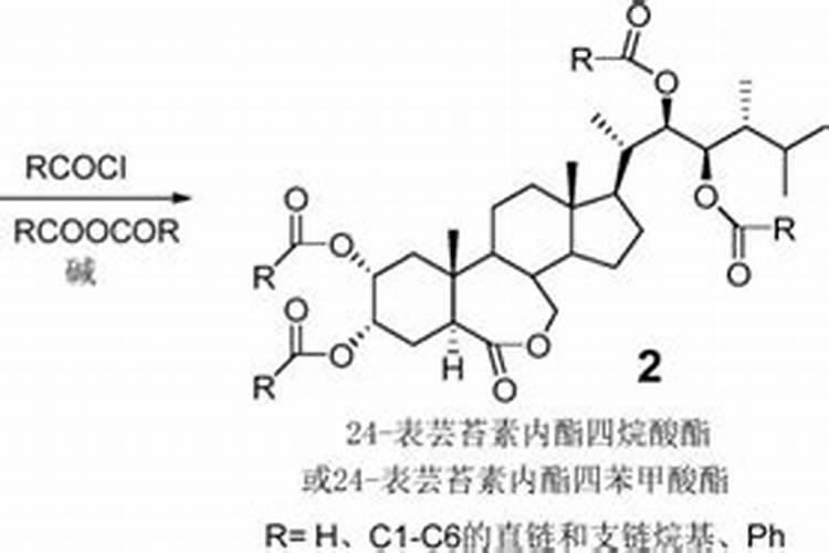 养花常用的无机肥料有哪些,养花常用的无机肥料有哪些种类
