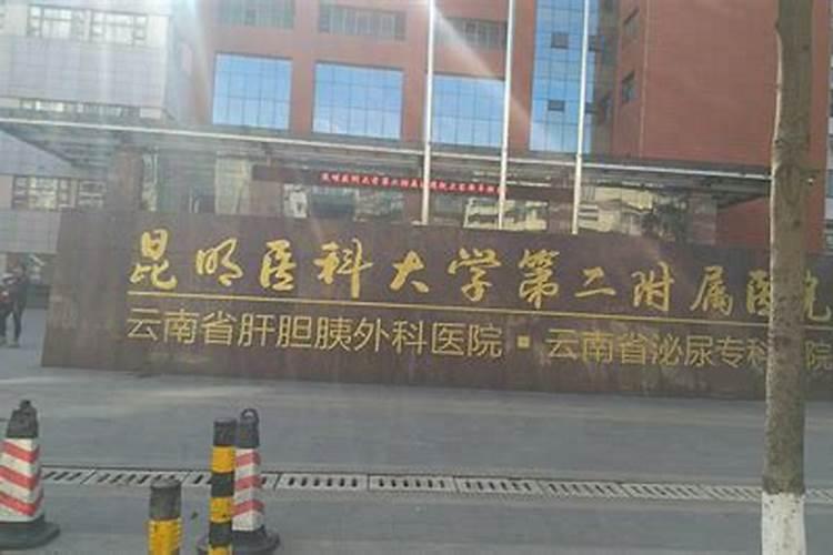 云南黑花生产地最好在哪里