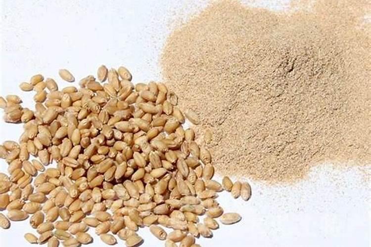 菜籽饼和花生麸,哪个肥的肥效更好呢？为什么？