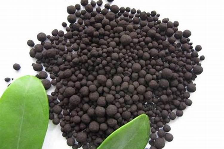 鱼蛋白水溶肥可以浇什么花？