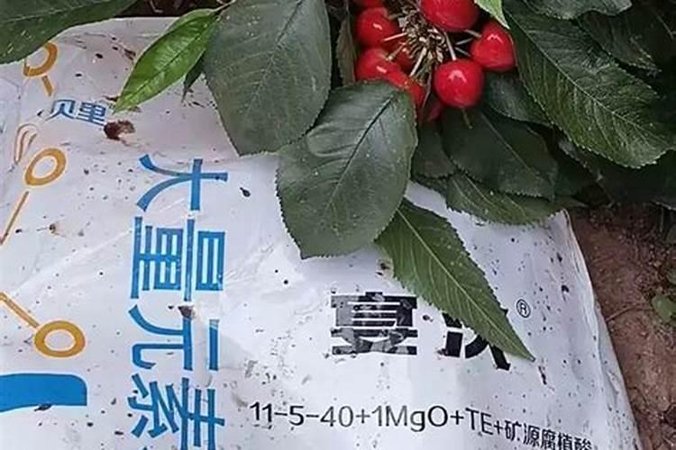 雅兰原液属于什么档次的品牌