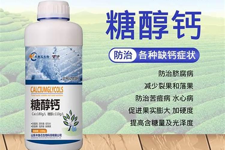 君子兰该如何施肥