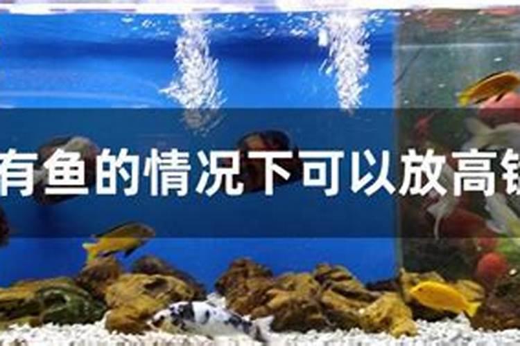 鱼塘里可以撒化肥吗