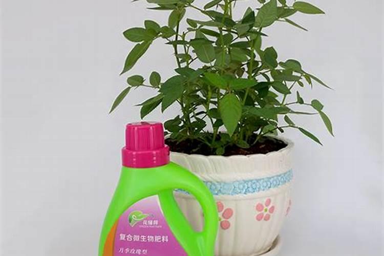 种花用什么肥料最好呢