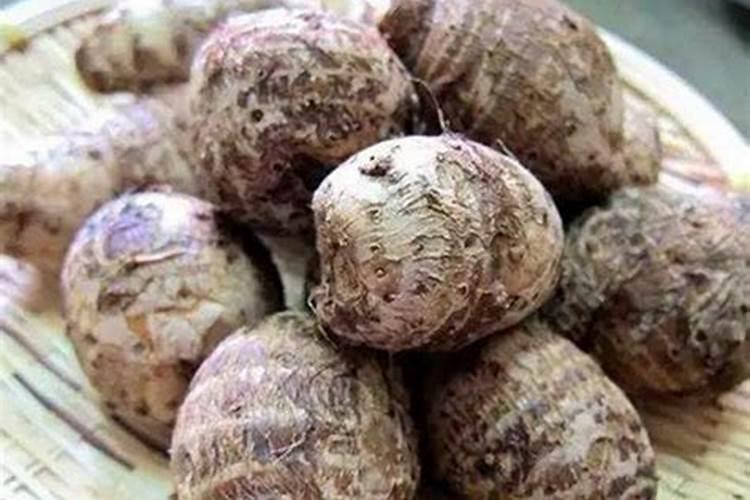 国内的生物制药厂有那些