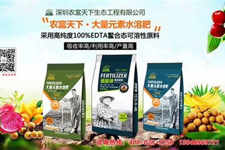 板栗小叶病用什么药