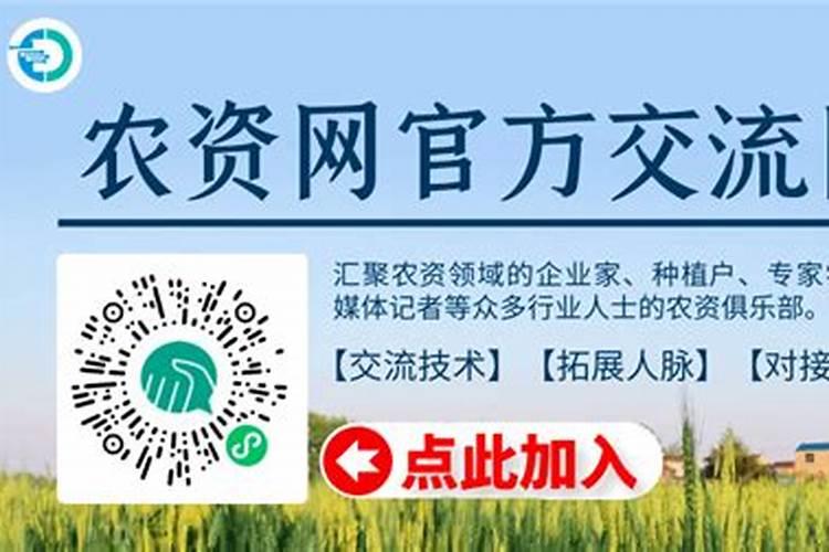 化肥价格淡季上涨涨了多少？