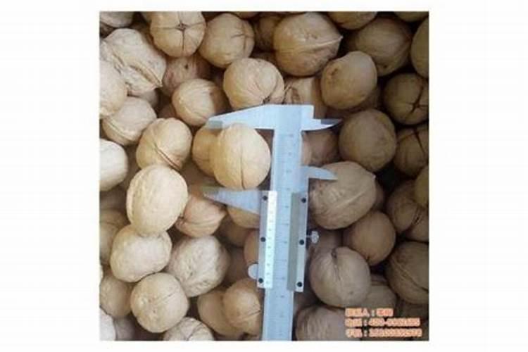 百香果浇什么肥料