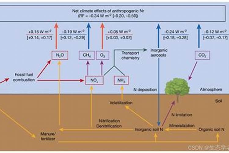 温度低施肥柑桔会有影响吗