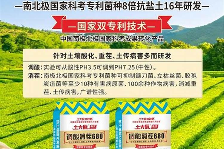 酸性土壤改良方法用什么肥