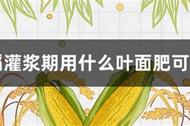 黄腐酸腐植酸海藻酸三个对比那好