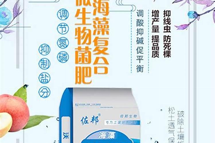 硝态氮肥有哪些