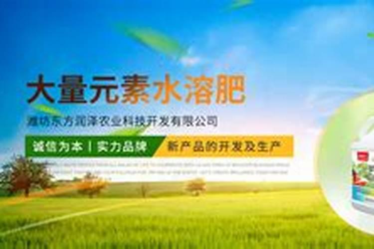 菜油饼肥料要发酵多久