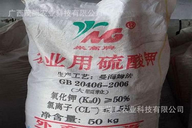 20岁左右的大学生用2000元能买什么理财产品呢？