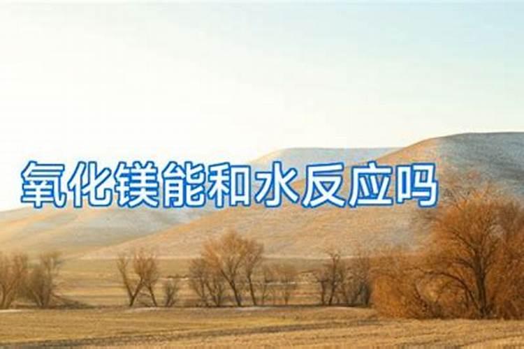香蕉水黄病流酸镁还是氧化镁好？