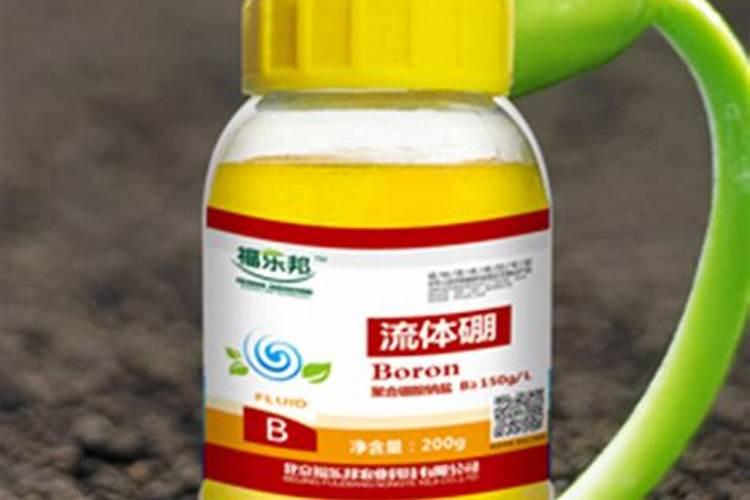 阳光玫瑰葡萄开花了,为什么刮风花穗会整株断了？