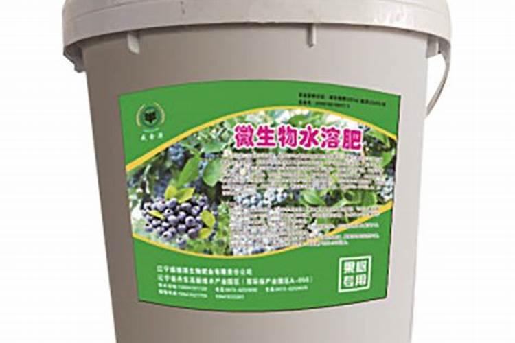 草莓种植过程中该施什么肥料