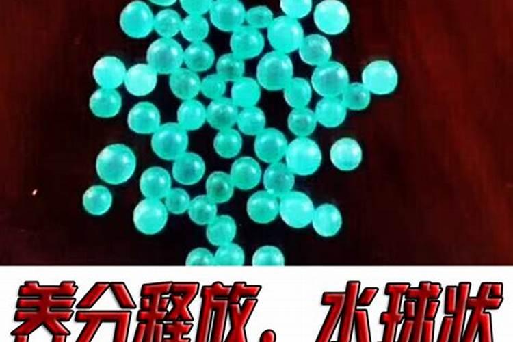 玉米几叶时可以用芸苔素