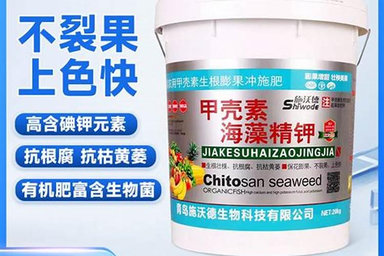 鸡蛋壳做肥料正确的做法