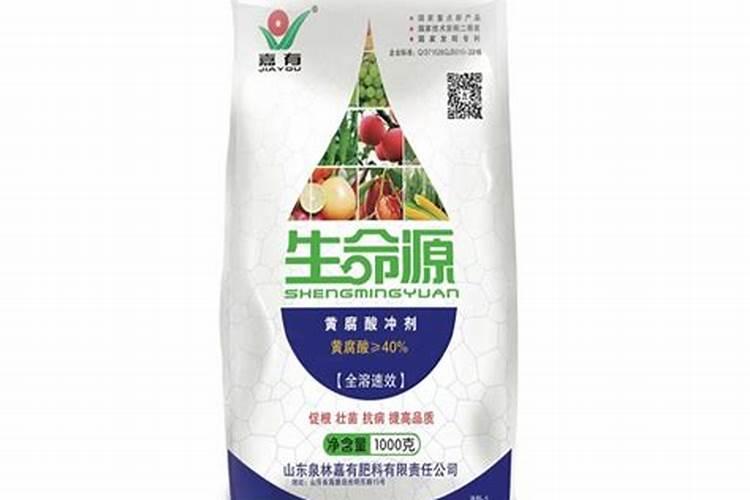 怎么让白掌叶子有光泽,变大变厚