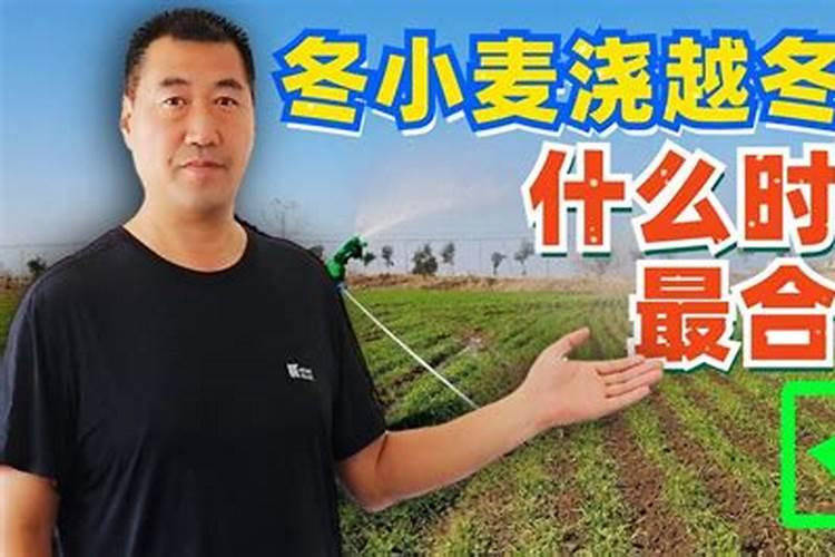 烤烟种植技术与方法