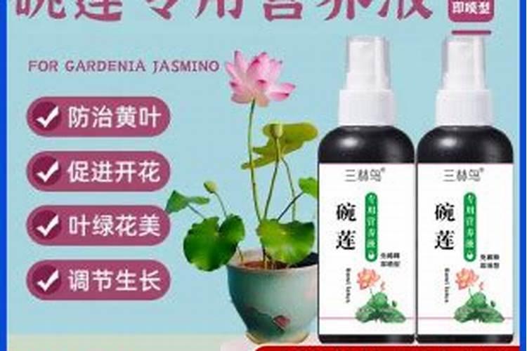 黄叶一喷绿怎么用