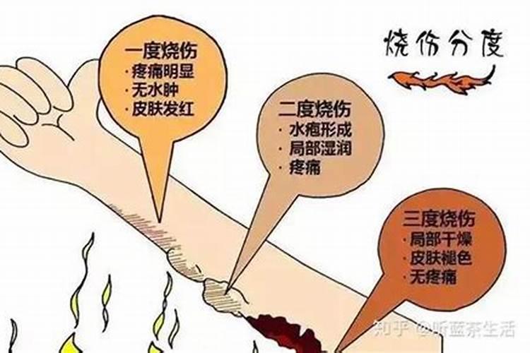 辣椒苗被高温烧伤了怎么办