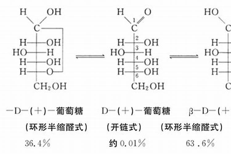 糖醇属于寡糖吗？