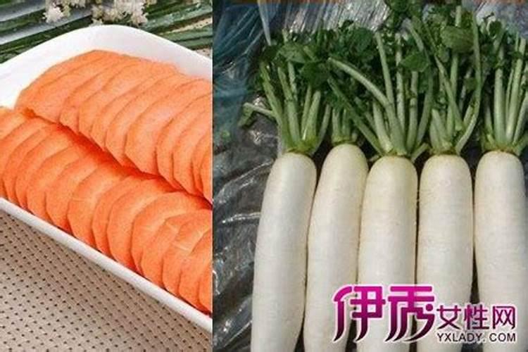 想要太阳花开花又多又鲜艳,养护方法很重要,如何养好呢？