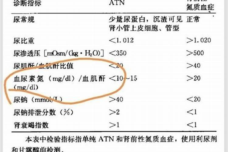 尿素是氮肥吗