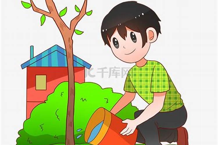 发财树施什么肥料