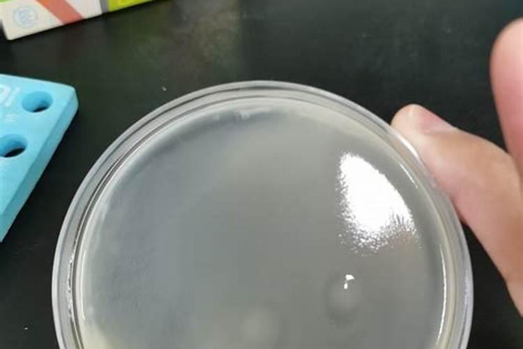 磷肥含磷与二铵含磷是一种磷吗？