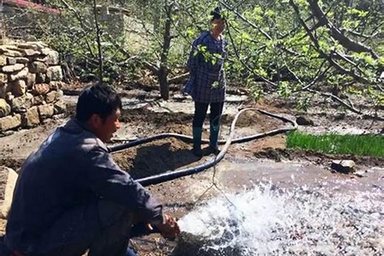 多丰素叶面肥对果树的作用与功效