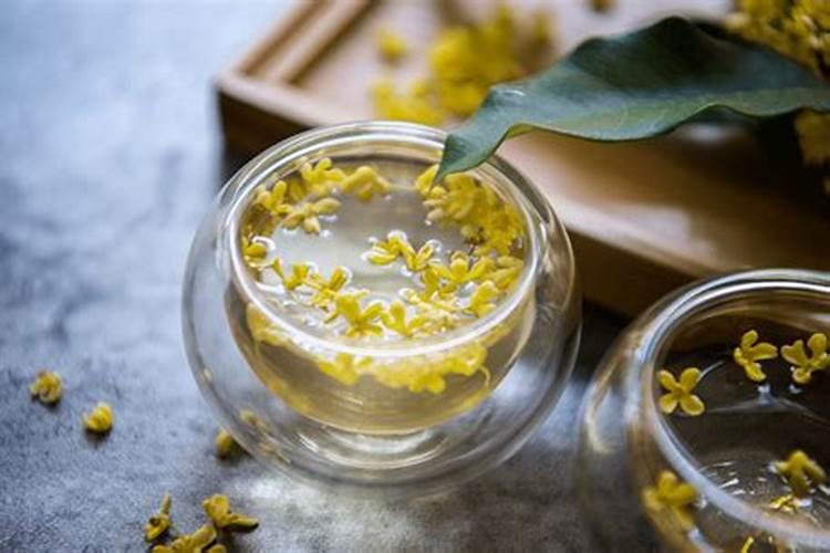 桂花树施什么肥料最好
