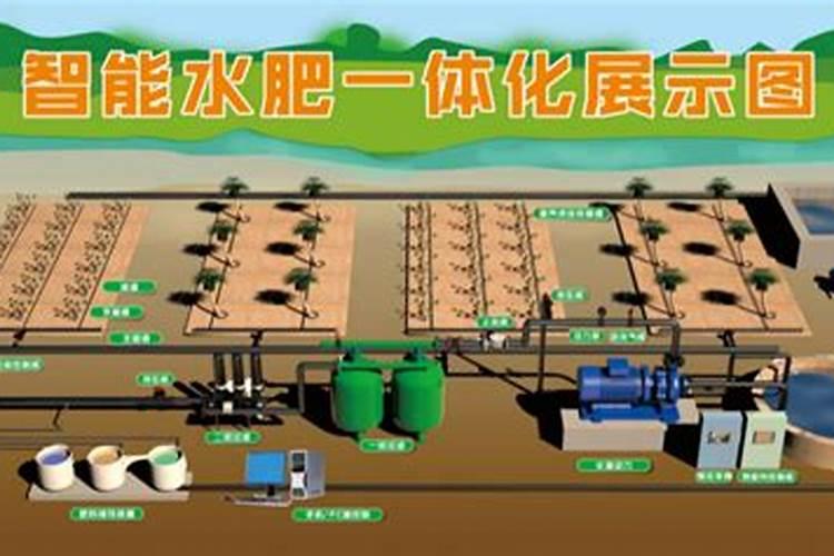 玉米打什么叶面肥最好
