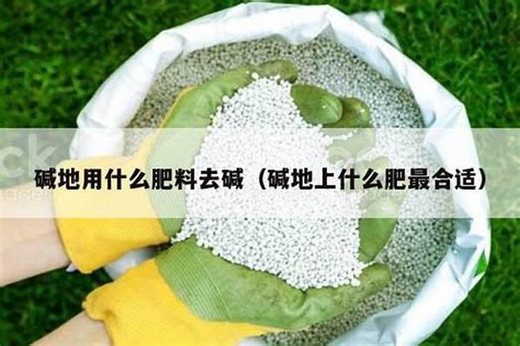 专治盐碱地的化肥