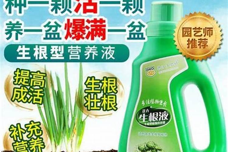 果树肥料中排名第一、最好的是哪种？