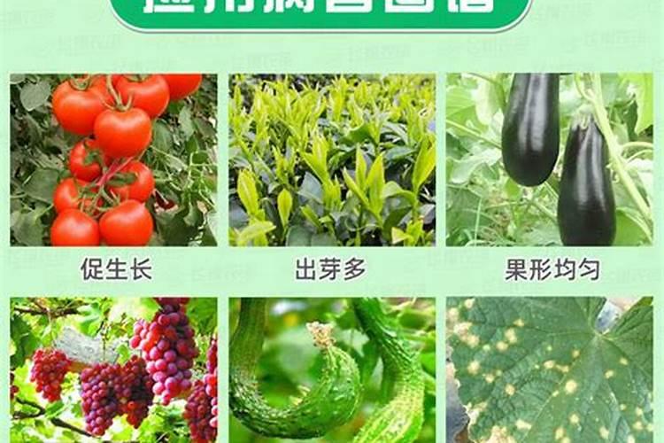 葡萄生根肥淘宝哪个品牌好