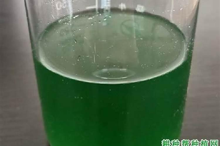 糖醇钙镁朋铁锌在桔柑园什么时候用好