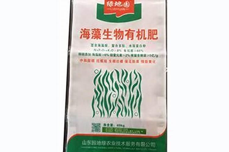 长寿花叶子越来越小是什么原因引起的