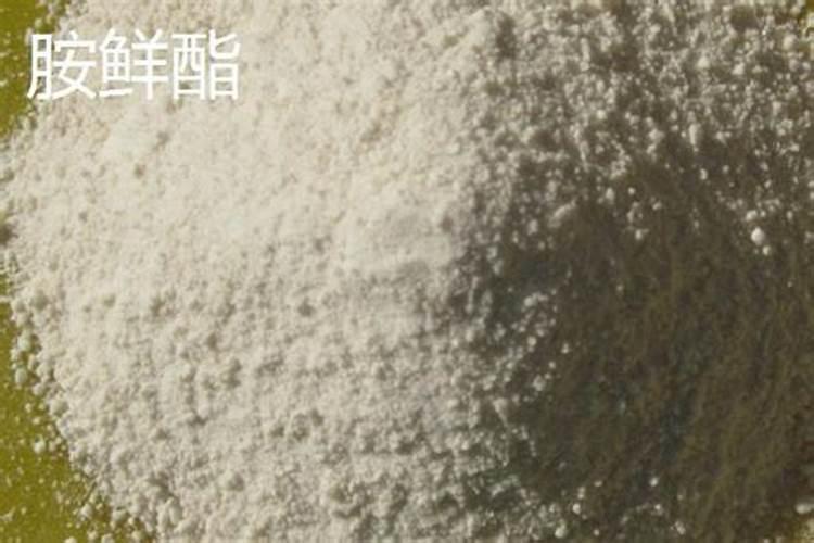 胺鲜酯的优点和缺点