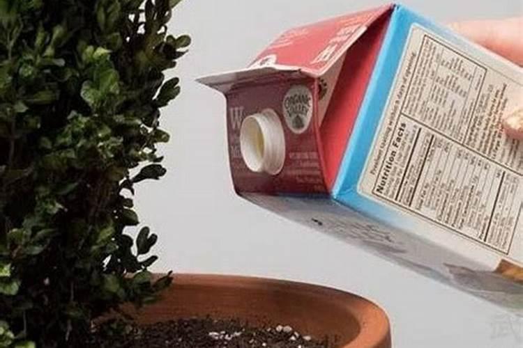 复合肥变黑了还可以用吗？